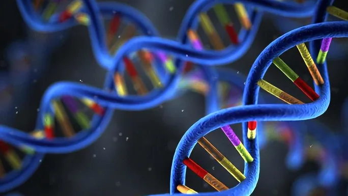 正规司法鉴定机构许可证（法医物证鉴定）特写