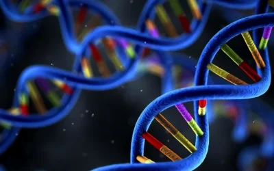 健康夫妻与宝宝温馨互动概念图