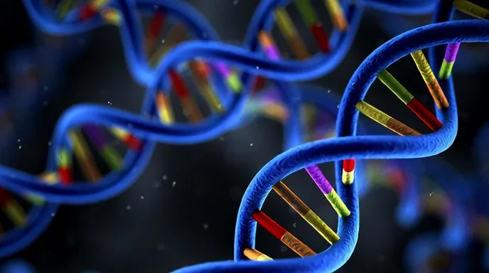 健康夫妻与宝宝温馨互动概念图