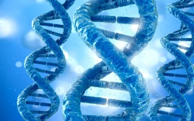 一对年轻夫妇在咨询医生，桌上放着备孕资料