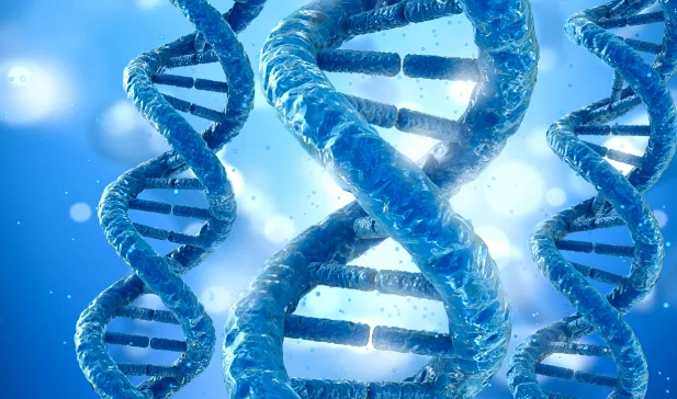 一对年轻夫妇在咨询医生，桌上放着备孕资料