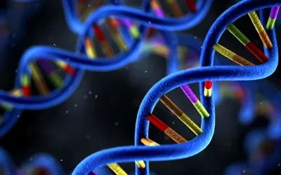 一位女士正在遗传咨询门诊与医生交谈