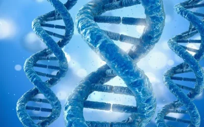 华法林药片与DNA双螺旋结构结合示意图