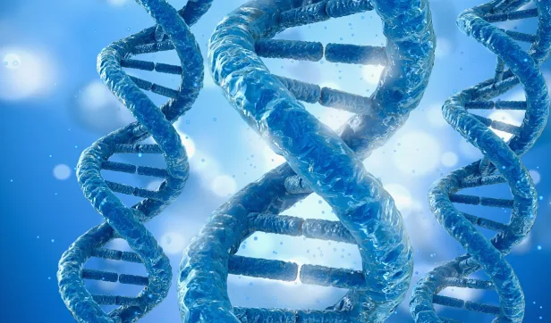 华法林药片与DNA双螺旋结构结合示意图