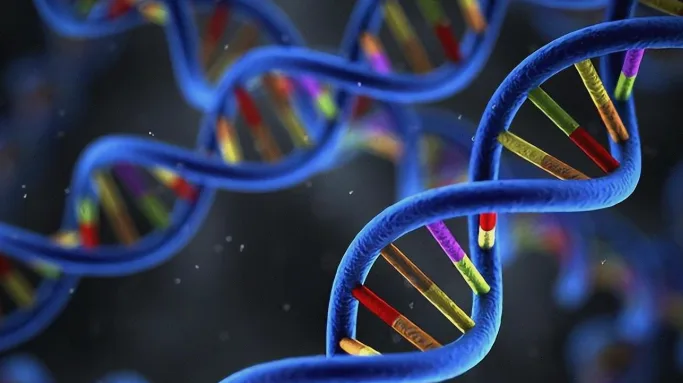 婴儿仰卧呈“青蛙腿”姿势示意图