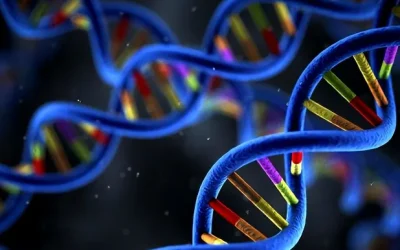 一张对比图：健康饮食与不健康饮食对血糖影响的示意图