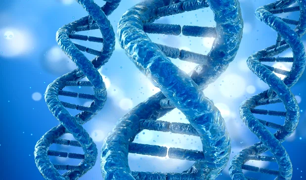 作业治疗师演示如何使用辅助餐具