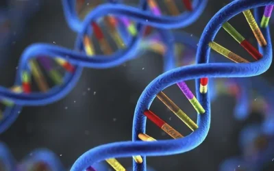 一家三口一起查看血脂化验单的示意图