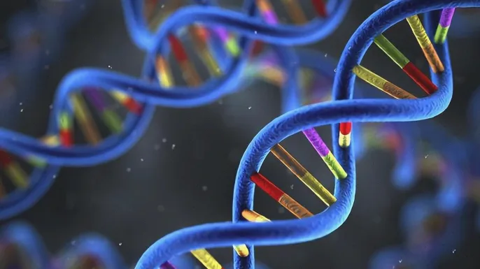 一家三口一起查看血脂化验单的示意图