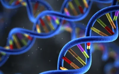 一张对比图：左侧是正常清澈的血浆，右侧是乳糜血