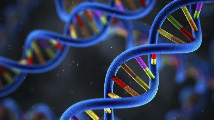 胰岛素分泌细胞与血糖关系动态图