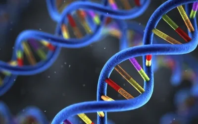 F8与F9基因在X染色体上的位置示意图