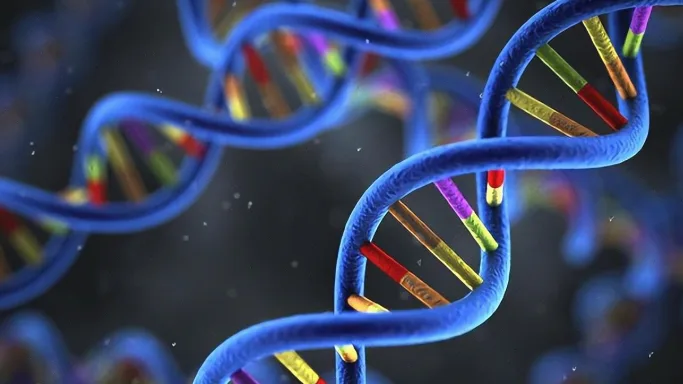 F8与F9基因在X染色体上的位置示意图