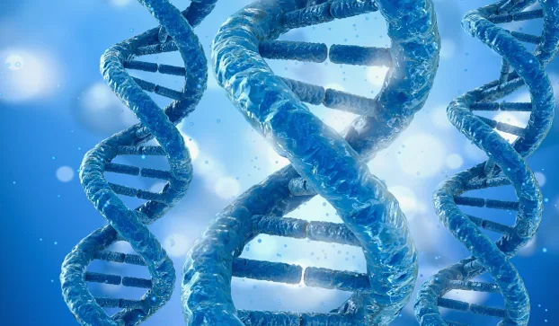 凝血瀑布反应示意图，展示凝血因子如何级联激活