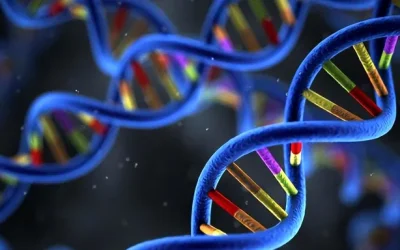 血管内血栓形成示意图