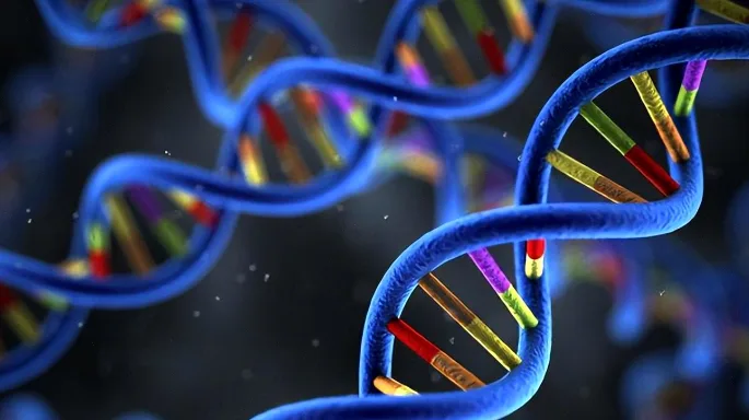 血管内血栓形成示意图