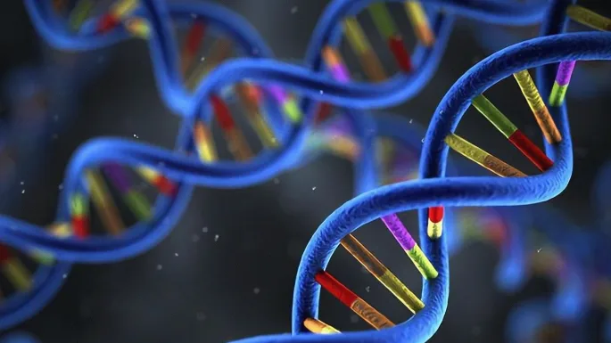 贝顿评分量表中拇指触碰前臂的测试示意图