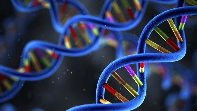 不同遗传模式（显性、隐性、X连锁）的简易家系图谱示意图