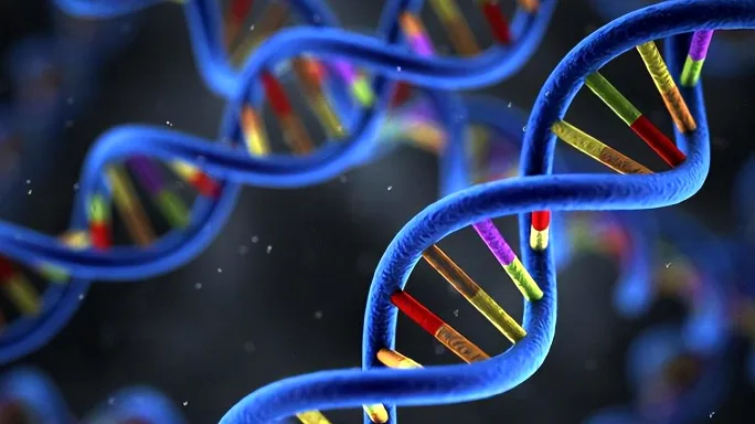 裂隙灯下颗粒状角膜营养不良特征图