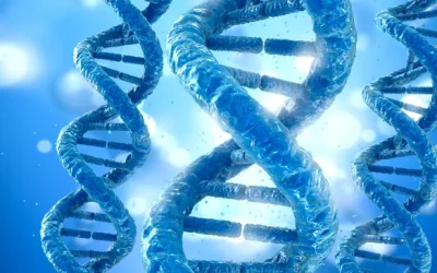 医生正在为婴幼儿进行眼底检查