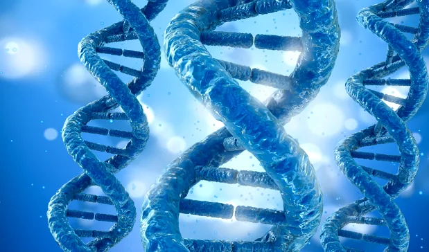 基因检测采血流程卡通图解