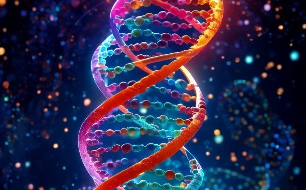 视网膜结构示意图，标注感光细胞层与神经传导路径