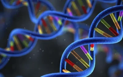 孕妇看着家族眼病史图谱，面露忧色