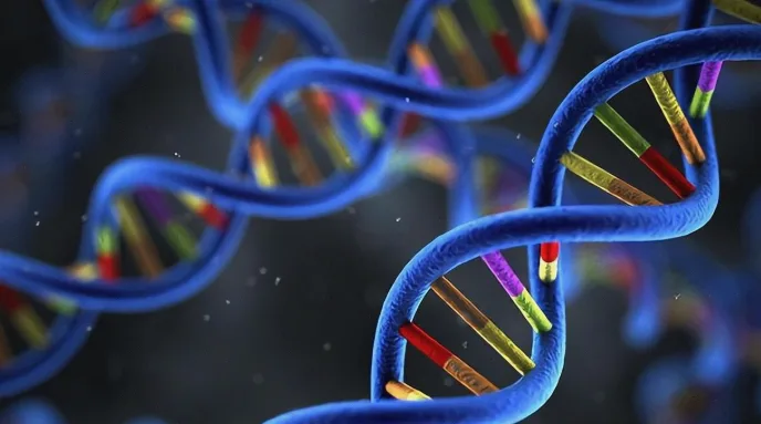 孕妇看着家族眼病史图谱，面露忧色