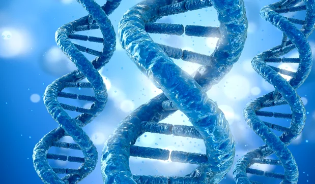 基因检测报告重点结论特写