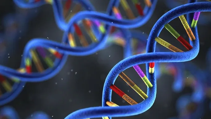 常染色体显性遗传模式示意图