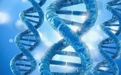 肾脏滤过膜结构示意图，标出IV型胶原网络