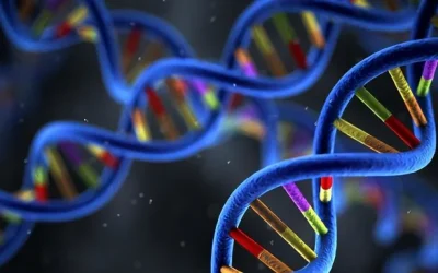 鱼鳞病患者皮肤干燥脱屑特写