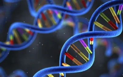 遗传咨询医生与准父母沟通示意图