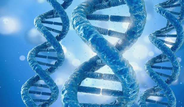 血液透析与腹膜透析原理对比示意图