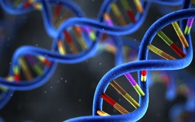 护士为新生儿采集足跟血进行筛查