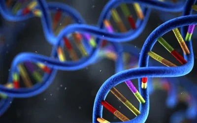 急诊医生查看危重患者监护仪数据