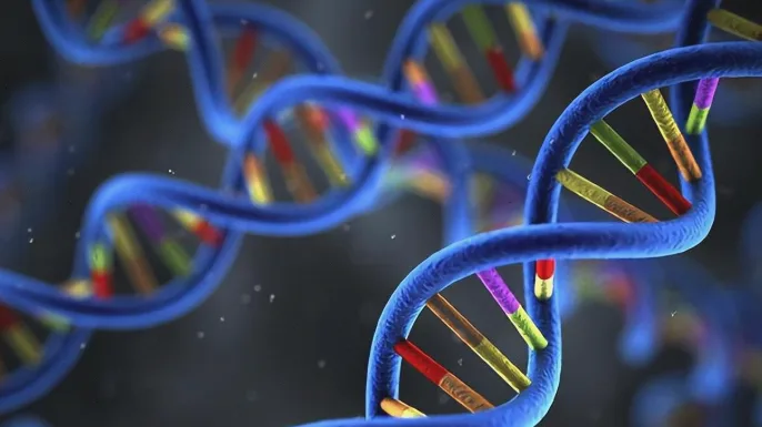 PCR检测流程的简易卡通图解