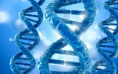 医生与患者讨论华法林用药方案