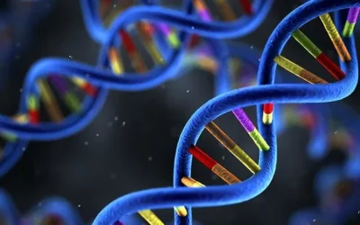 不同种类他汀药盒排列对比图