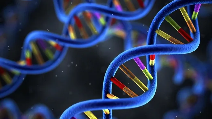 不同种类他汀药盒排列对比图