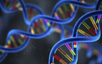 医生与家长共同查看儿童基因检测报告