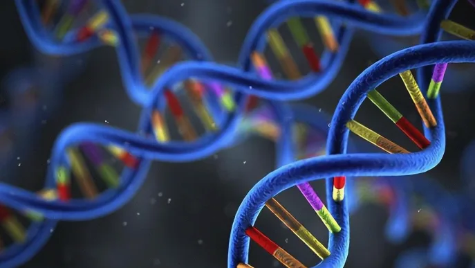 医生与家长共同查看儿童基因检测报告