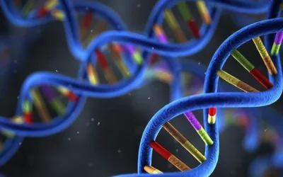 两个人喝酒对比图，一人面色如常，一人满脸通红