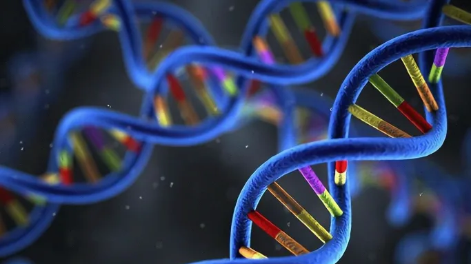 两个人喝酒对比图，一人面色如常，一人满脸通红