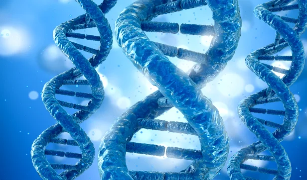 一个人正对着电脑，查看复杂的基因检测报告图表