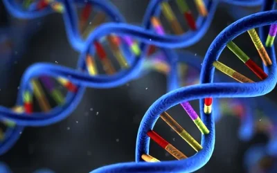 一位女性在平板电脑上查看个性化的基因健康报告图表