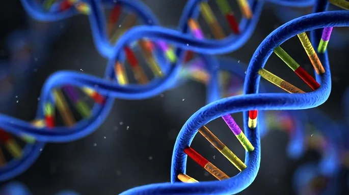 一位女性在平板电脑上查看个性化的基因健康报告图表