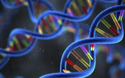 医生在B超引导下进行绒毛取样操作示意图