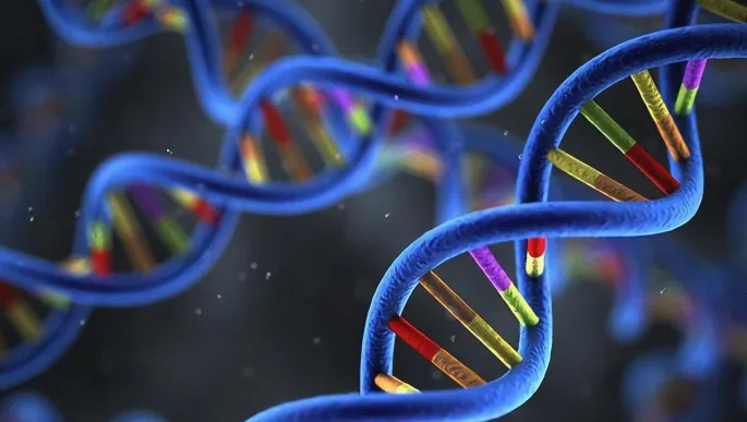 医生在B超引导下进行绒毛取样操作示意图