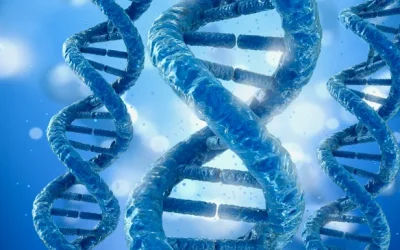 一位老年患者与医生在诊室讨论CT报告